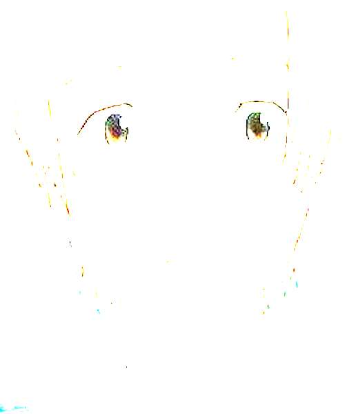 Isao Kako character portrait