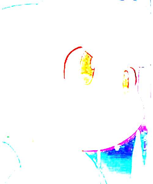 Iceman.EXE character portrait