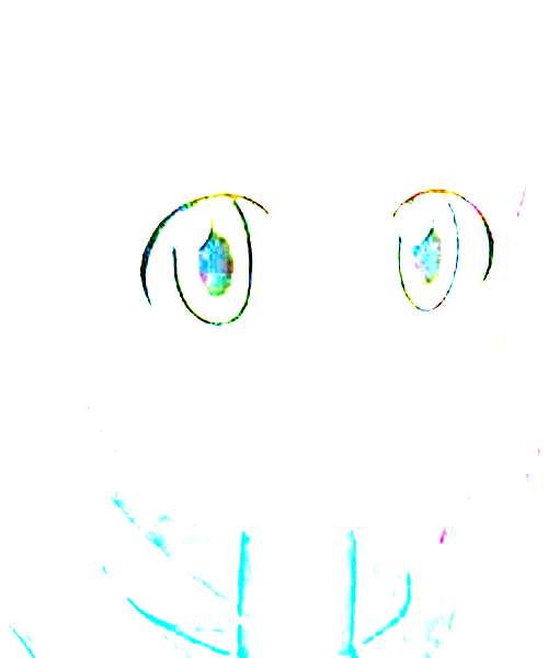 Meiru Sakurai character portrait