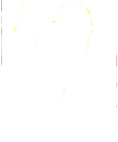 Amazon Carnais character portrait