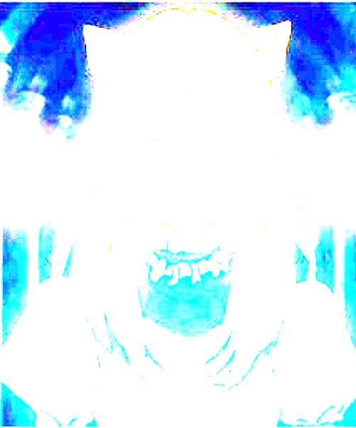 Tsuuma character portrait