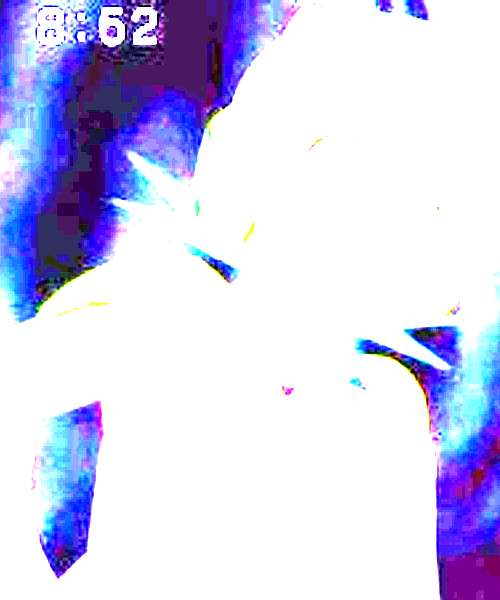 Dark Rockman.exe character portrait
