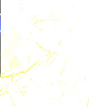 ภาพตัวละคร Blume