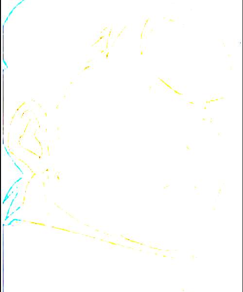 Phil Ackman character portrait