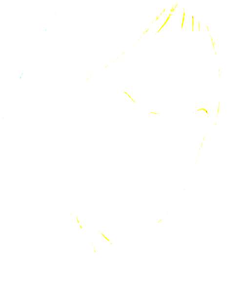 Gurran Schmittel character portrait