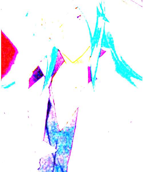 Raina Cromwell character portrait
