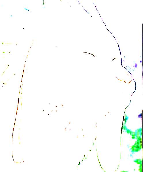 Akamaru character portrait