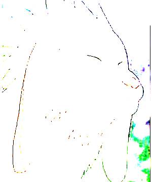 ภาพตัวละคร Akamaru