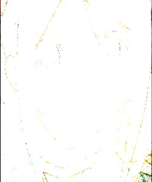Tsubaki Nakatsukasa character portrait