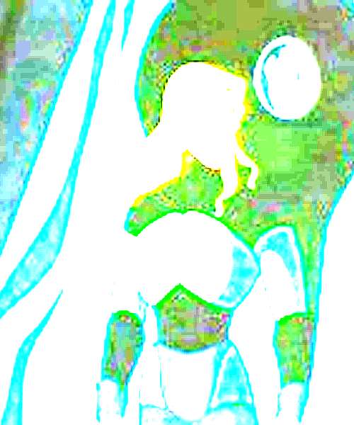 Fide character portrait