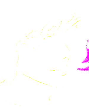 ภาพตัวละคร Jotaro Kido