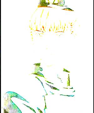 ภาพตัวละคร Chamberlain