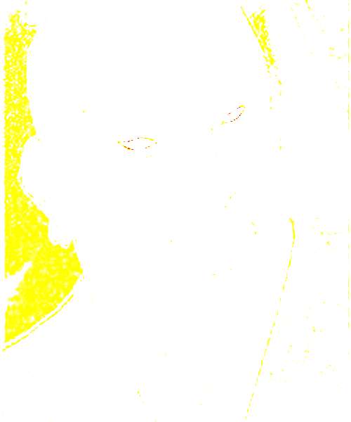 Kouji Iwahata character portrait