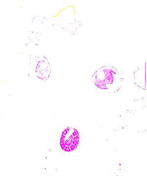 ภาพตัวละคร Garnet