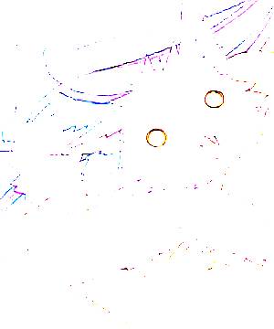 ภาพตัวละคร Kanden Yamaneko