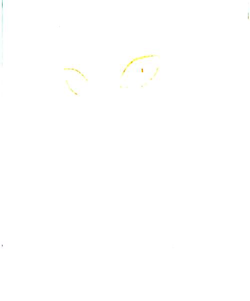 Matsuaki Fugi character portrait