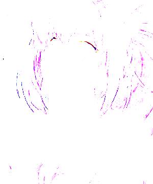 ภาพตัวละคร Mitsuki Hayase