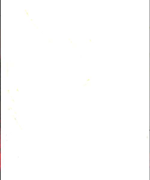 Lee character portrait