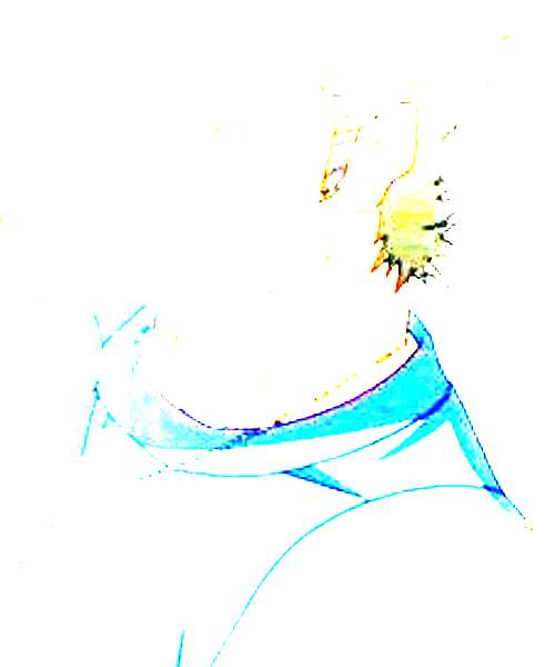 Kawashima character portrait