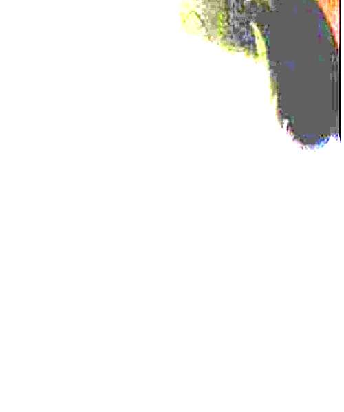 Horiki character portrait