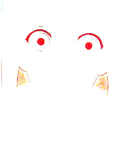 P-ko character portrait