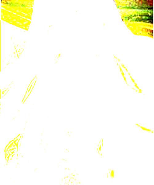 Sunako Kirishiki character portrait