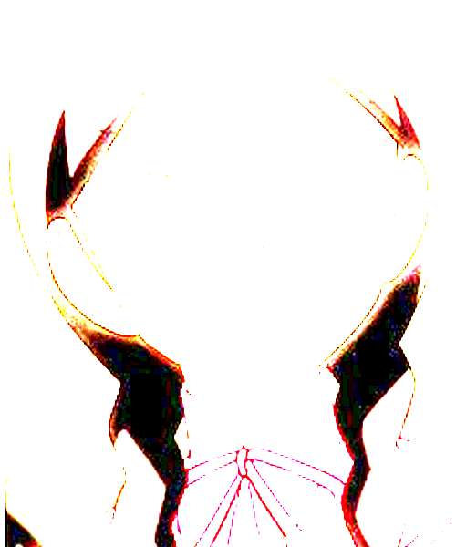 Fujiidera character portrait
