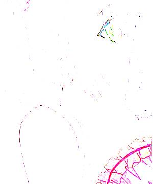 ภาพตัวละคร Seraphim
