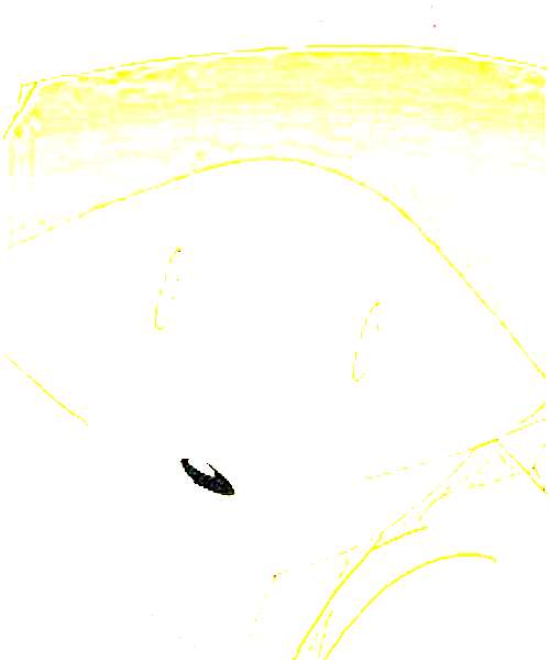 Fukubuchou character portrait