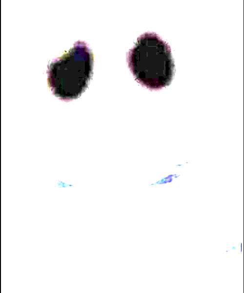 Dokurou Skull character portrait
