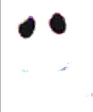 ภาพตัวละคร Dokurou Skull