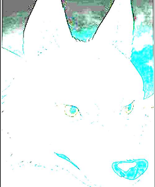 Moro character portrait