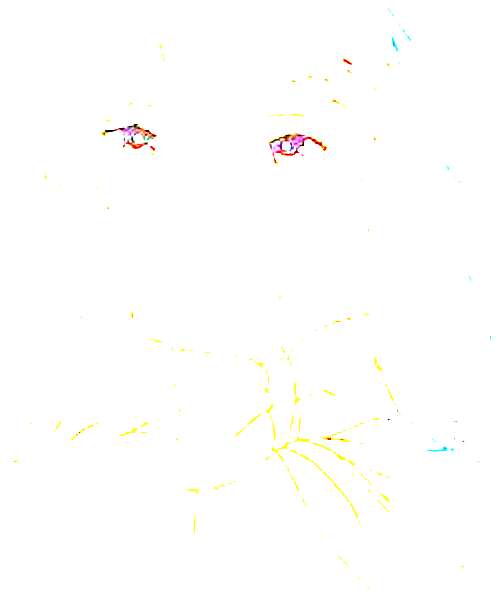 Reika Mishima character portrait