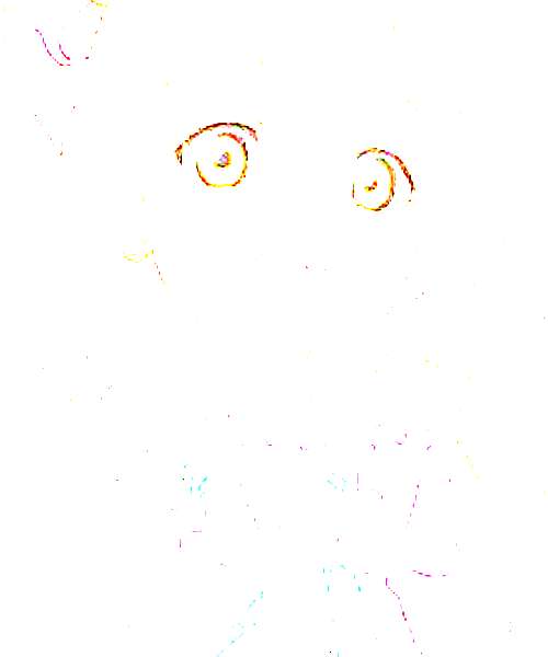 Kotori Minami character portrait