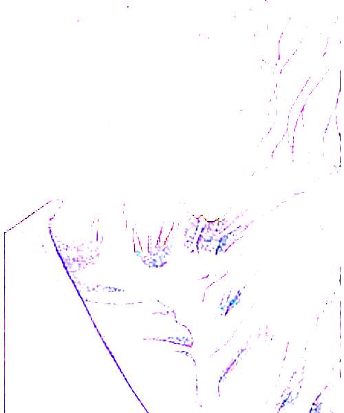 Nrvnqsr Chaos character portrait