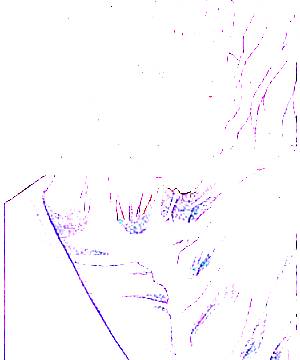 ภาพตัวละคร Nrvnqsr Chaos