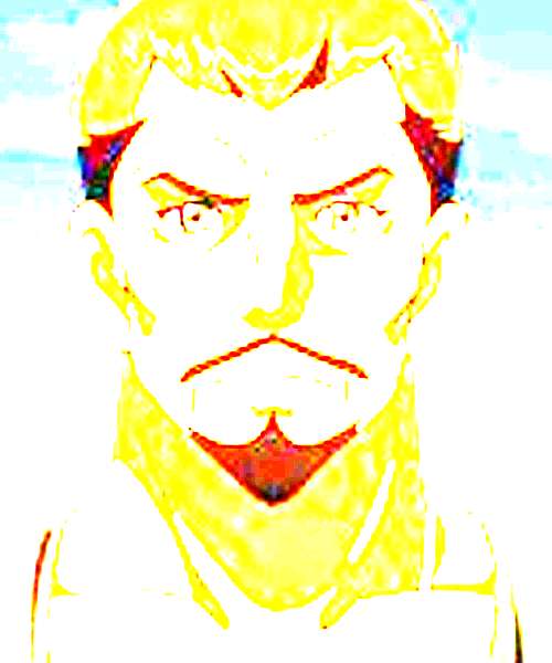 Ibrahim Dogulu character portrait