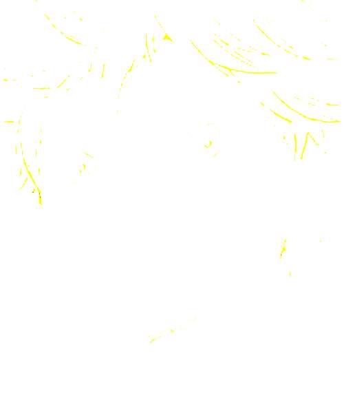 Shouyou Hinata character portrait