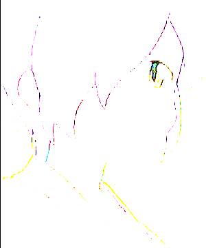 ภาพตัวละคร Izumi