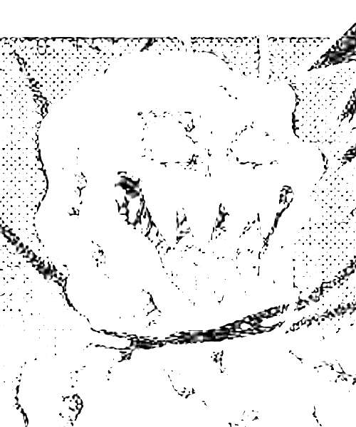 Agwell character portrait
