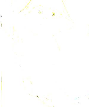 ภาพตัวละคร Bokuriko