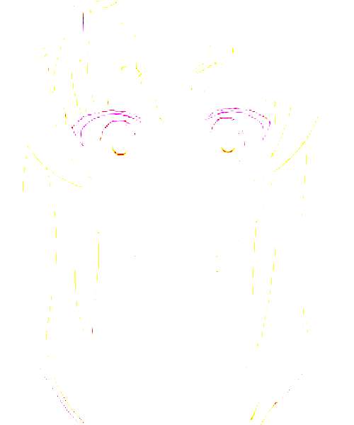 Konoha Suetsugi character portrait