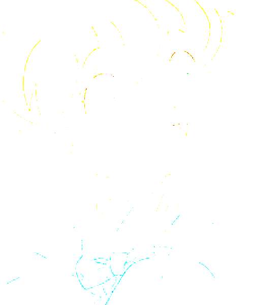 Shippo character portrait