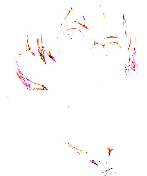 Haoxuan Sun character portrait