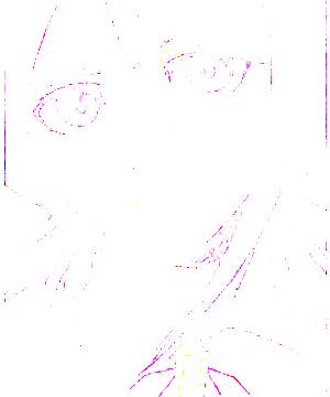 ภาพตัวละคร Rukia Kuchiki