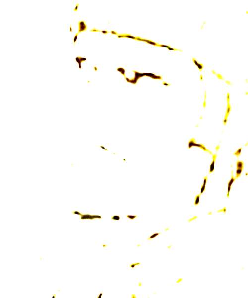 Kogoro Hachisuka character portrait