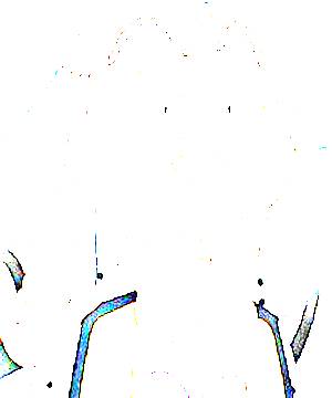 ภาพตัวละคร Happousai Hieta