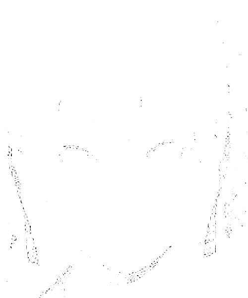 Kirari Momobami character portrait