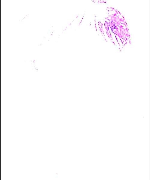Kurosaki character portrait