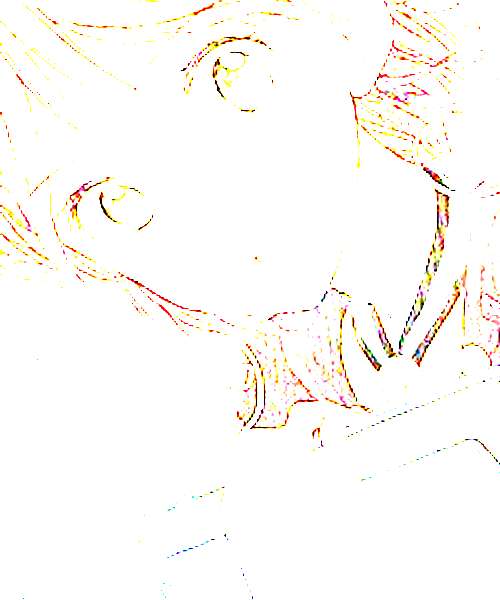 Shirayuki character portrait